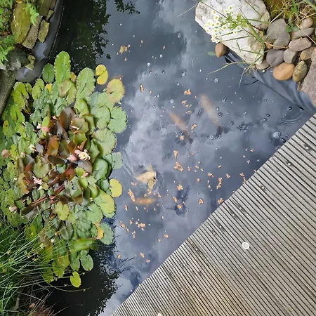 Auenweg Appartement Radebeul